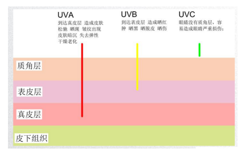 1624878456.png QQ截圖20210611161543.png