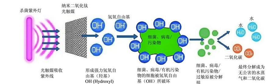 光觸媒滅菌系統(tǒng) 光觸媒滅菌系統(tǒng)