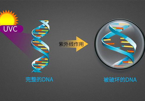 光觸媒滅菌系統(tǒng) 光觸媒滅菌系統(tǒng)